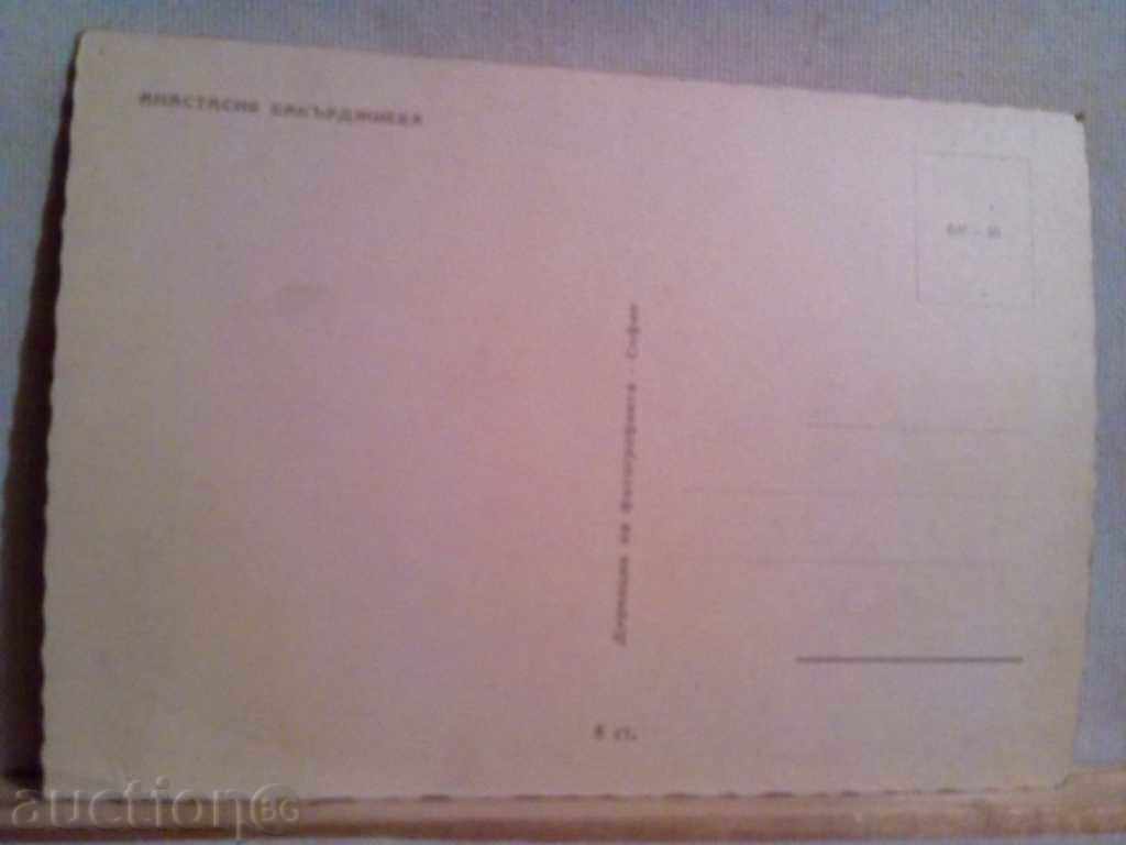 ANASTASIA BAKARDJIEVA with price 3.00 BGN | € 1.53