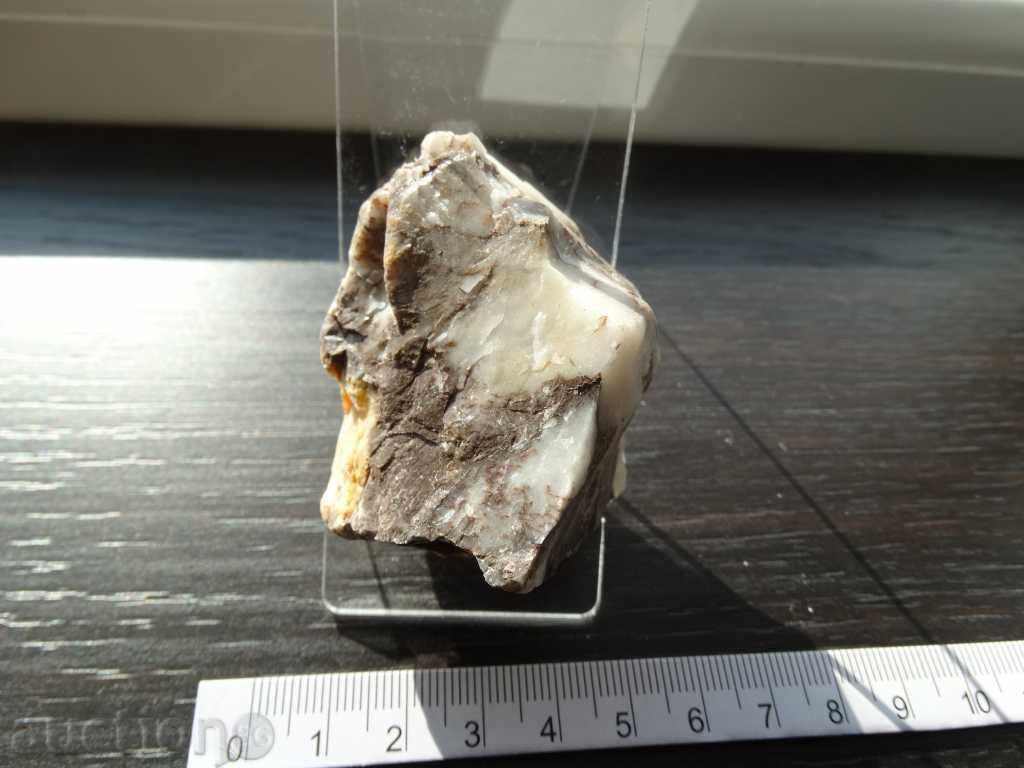 Jasper - 5 Jasper - 5