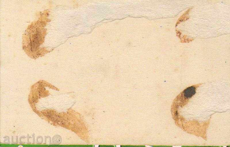 Vazovgrad. Virgin Monastery. The hideout of V. Levski with price 3.00 BGN | € 1.53 Vazovgrad. Virgin Monastery. The hideout of V. Levski with price 3.00 BGN | € 1.53