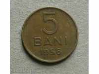 5 băi 1956 Romania