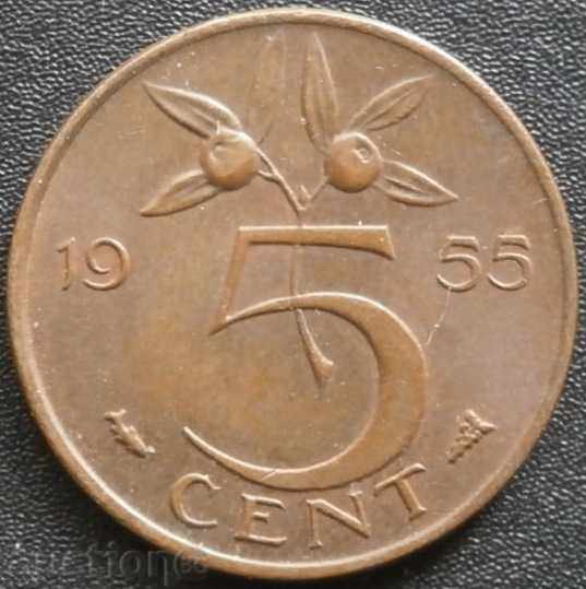 Olanda 5 cenți 1955