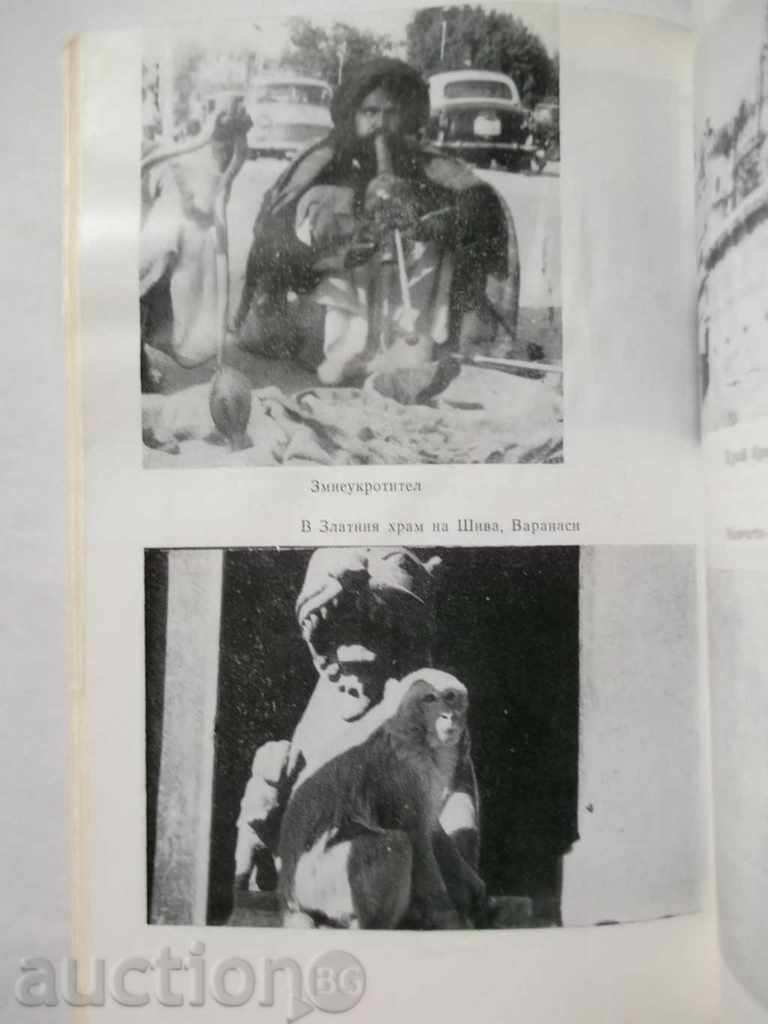 Auction Blue Lotus for India (Road Notes) - Nadia Mihaylova 1983 Auction Blue Lotus for India (Road Notes) - Nadia Mihaylova 1983