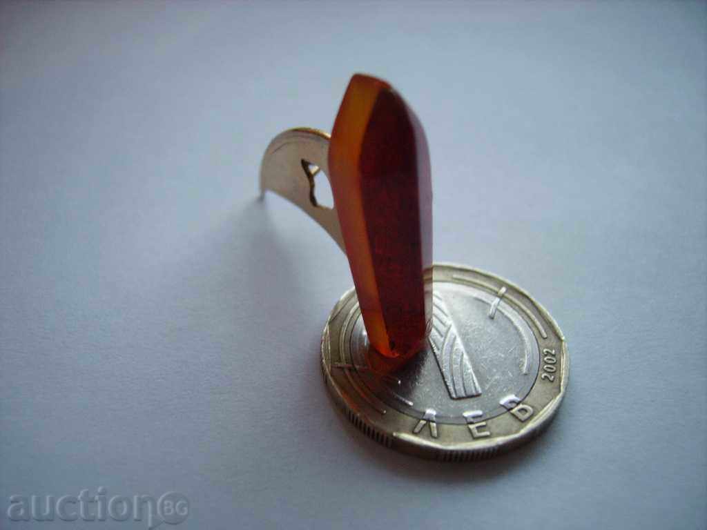 Delivery of Sell ​​a brooch-amber and metal