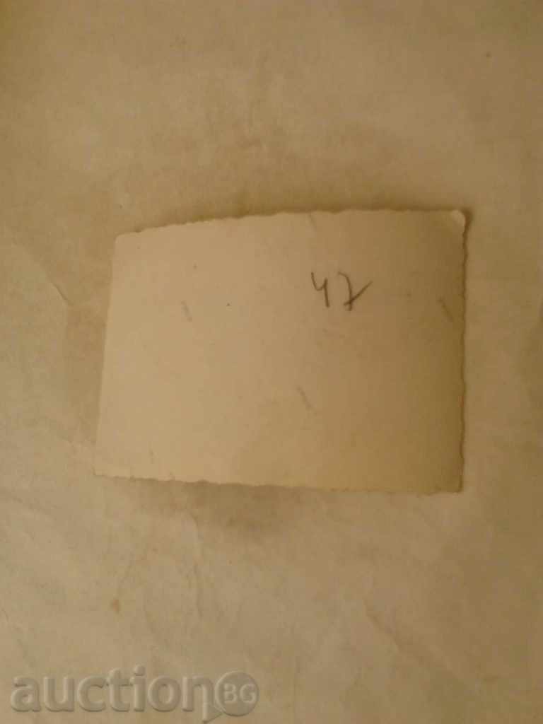 Photo In the donkey cart with price 0.45 BGN | € 0.23 Photo In the donkey cart with price 0.45 BGN | € 0.23