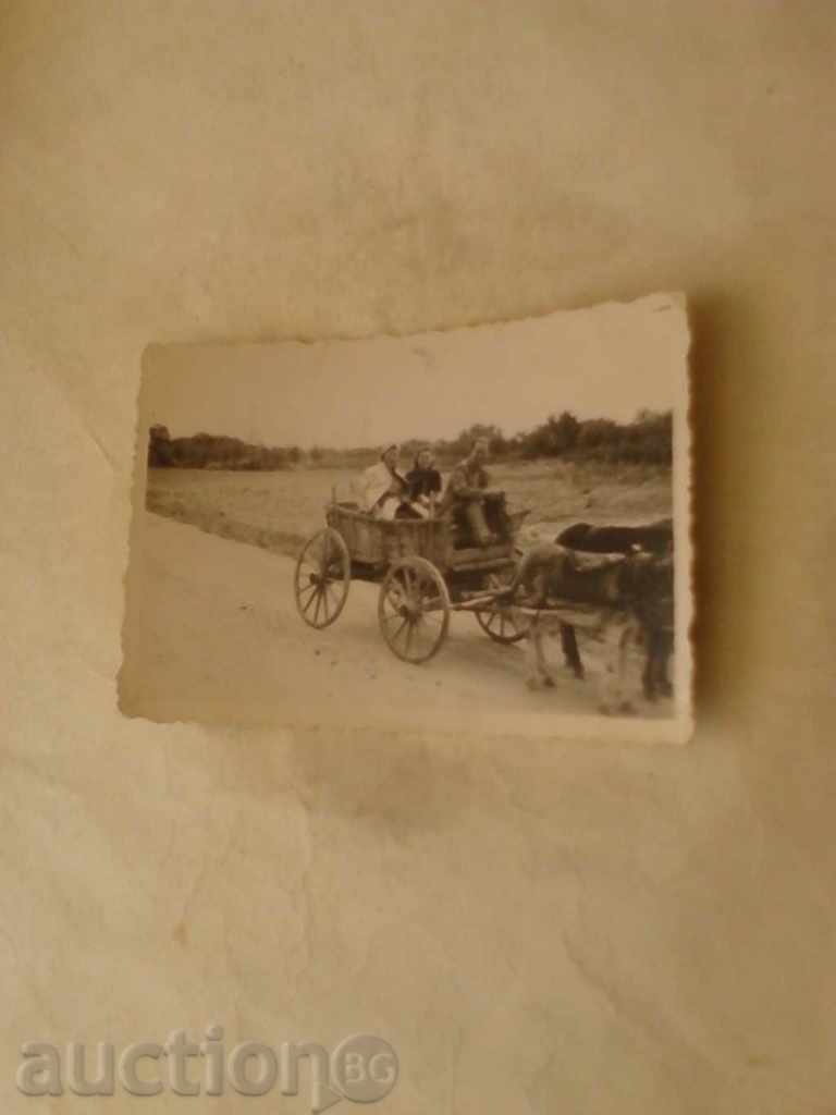 Photo In the donkey cart