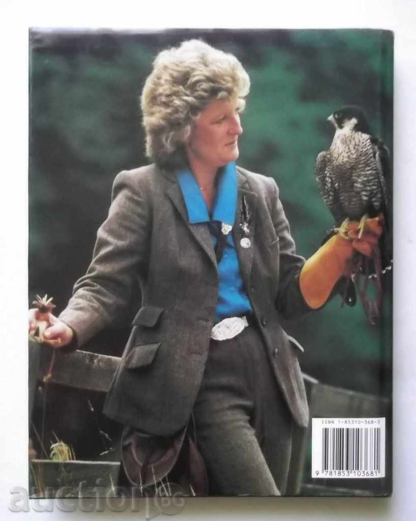 The Modern Falconer - Diana Durman-Walters 1997 autographed - 7 The Modern Falconer - Diana Durman-Walters 1997 autographed - 7