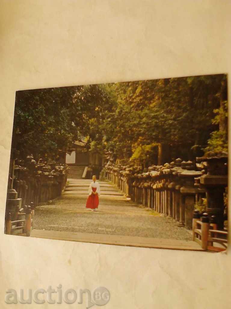 Postcard Kasuga Shrine Rows of stone along the road