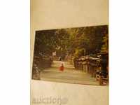 Καρτ ποστάλ Kasuga Παρεκκλήσι Σειρές από πέτρα κατά μήκος του δρόμου