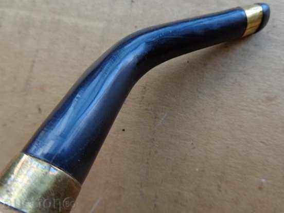 Lula, mumbai, chihuahua, cigarette, hookah - 6 Lula, mumbai, chihuahua, cigarette, hookah - 6