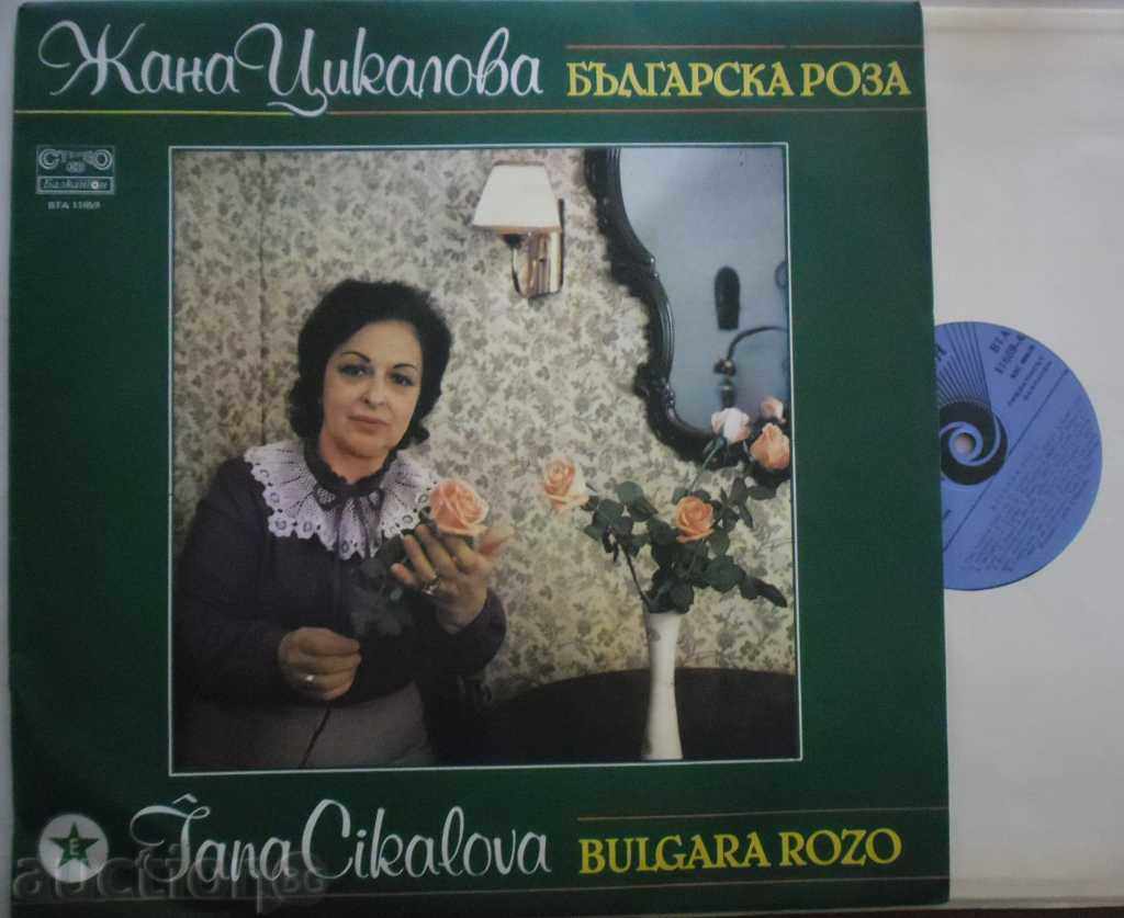 JANA CIKALOVA  -  FSB   -   BULGARA ROZO  -  ВTА  -  10659