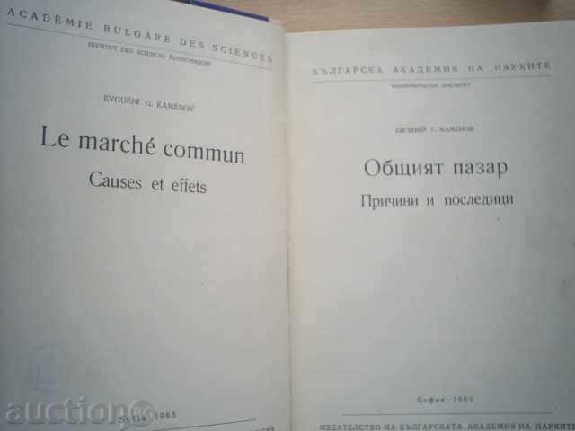 EVGENIY KAMENOV-THE COMMON MARKET, REASONS AND CONSEQUENCES - 5 EVGENIY KAMENOV-THE COMMON MARKET, REASONS AND CONSEQUENCES - 5