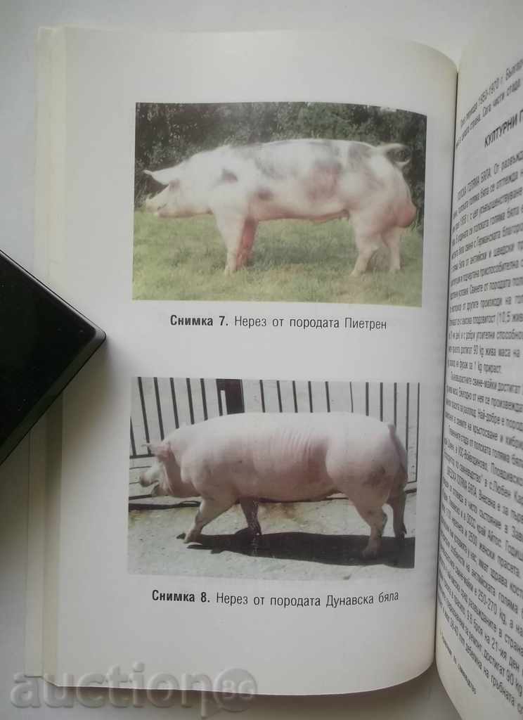 Pig farming guide - Andrei Andreev, Alexiy Stoykov with price 23.00 BGN | € 11.76 Pig farming guide - Andrei Andreev, Alexiy Stoykov with price 23.00 BGN | € 11.76