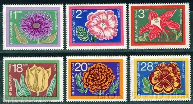 2415 Bulgaria 1974 Garden Flowers **