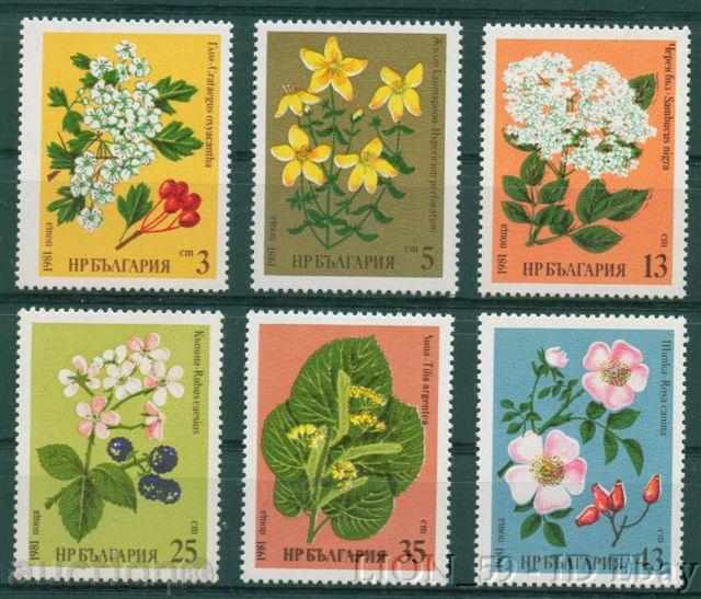 3018 Bulgaria 1981 Medicinal plants. **