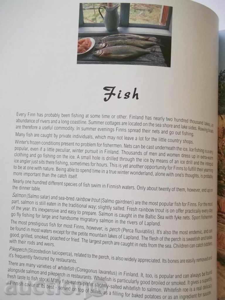 Auction Finland - Nature's table - Tiia Koskimies 1997 Cooking Auction Finland - Nature's table - Tiia Koskimies 1997 Cooking