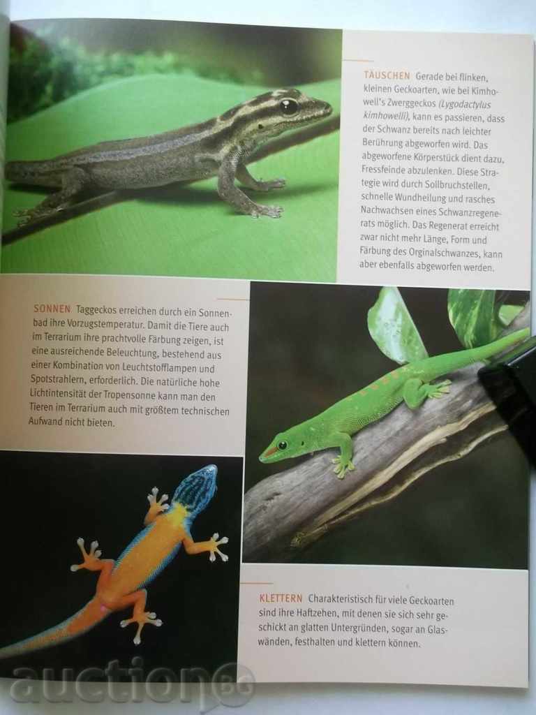 Axel Dehne - Geckos 2001 with Autograph Lizards with price 12.00 BGN | € 6.14 Axel Dehne - Geckos 2001 with Autograph Lizards with price 12.00 BGN | € 6.14