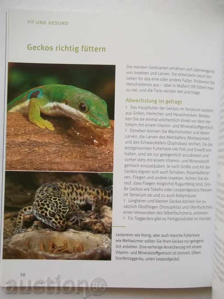 Delivery of Axel Dehne - Geckos 2001 with Autograph Lizards Delivery of Axel Dehne - Geckos 2001 with Autograph Lizards