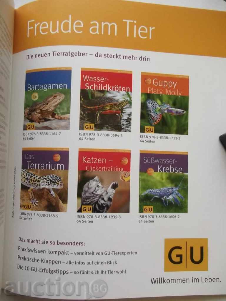 Axel Dehne - Geckos 2001 with Autograph Lizards - 5 Axel Dehne - Geckos 2001 with Autograph Lizards - 5