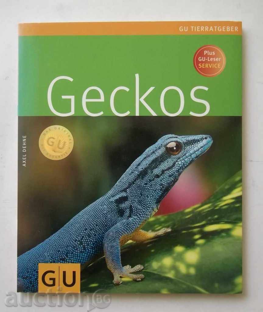 Axel Dehne - Gecko 2001 șopârle cu autograf
