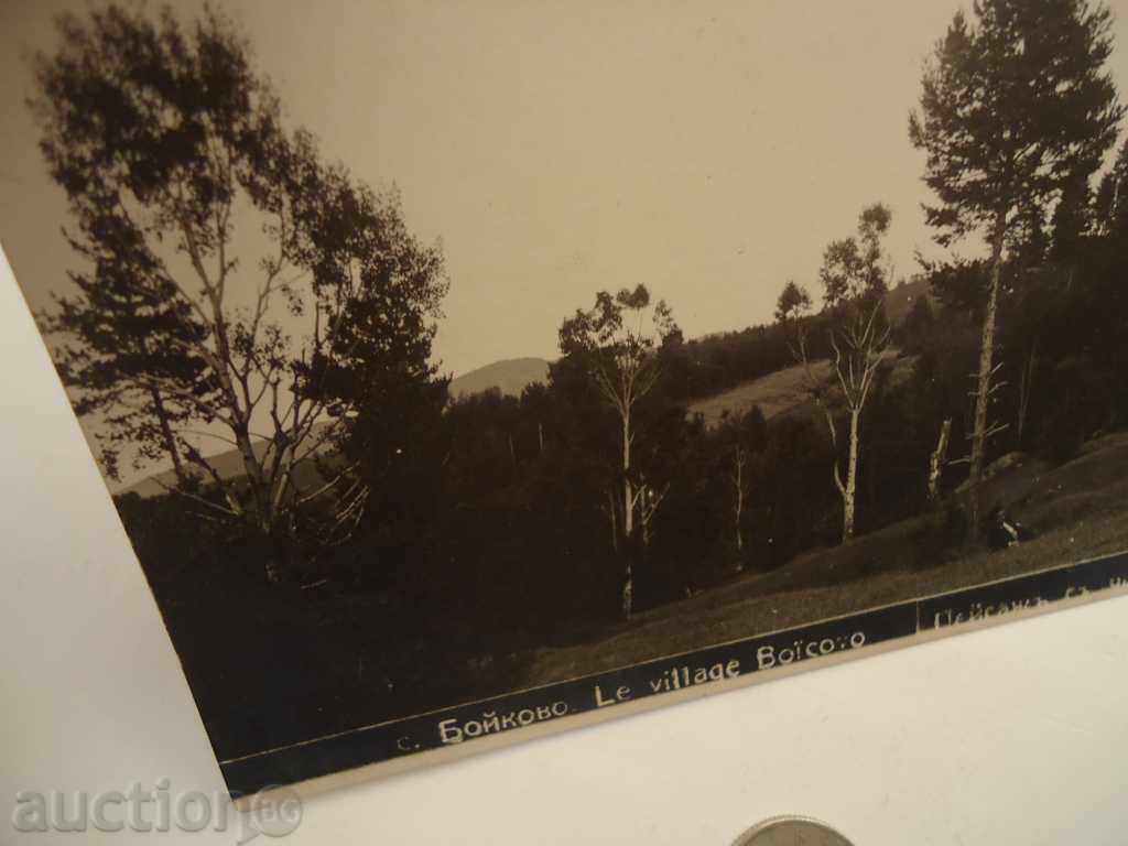 Auction Postcard village of Boykovo 8 Auction Postcard village of Boykovo 8