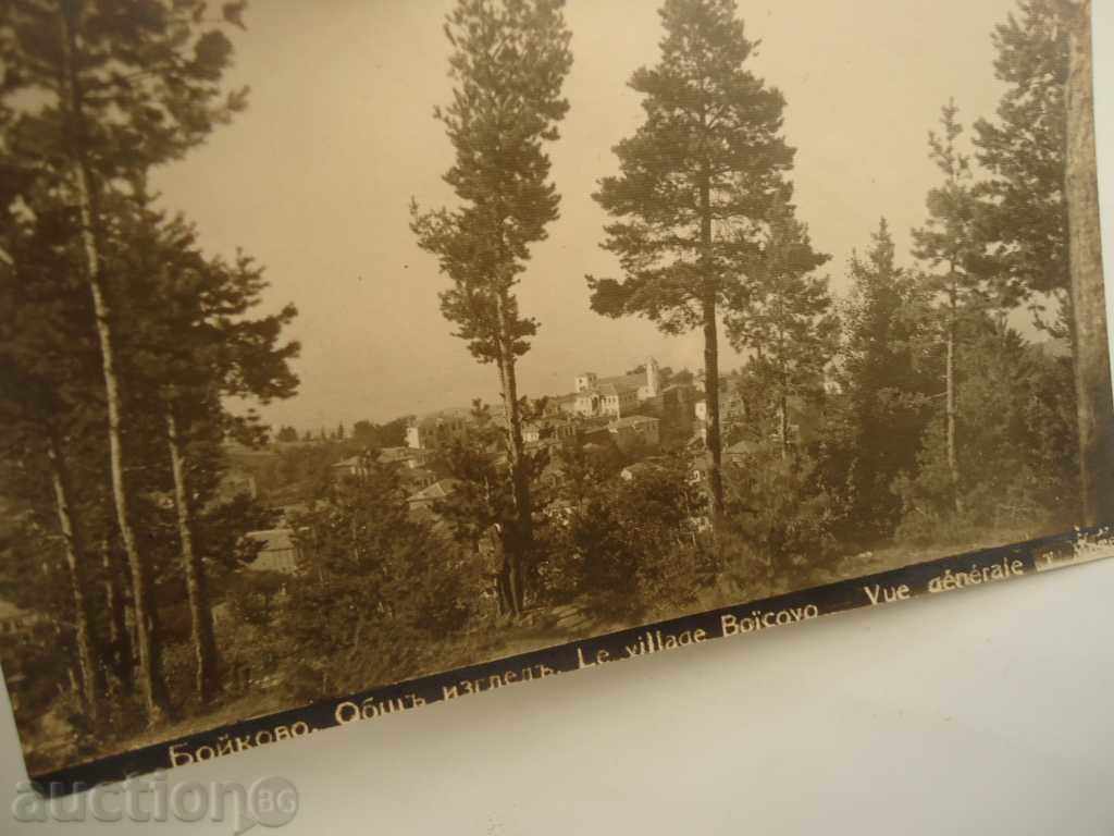 Auction Postcard village of Boykovo total view №10 Auction Postcard village of Boykovo total view №10