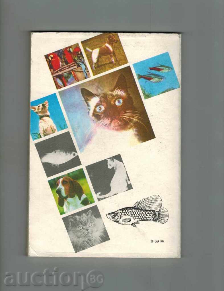 ANIMALS IN HOUSES - MIROSLAV HUSSCH with price 5.50 BGN | € 2.81