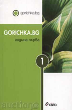 Gorichka.bg Year One
