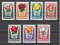 31K620 / HUNGARY - 1962 FLORA - ROSE FLOWERS