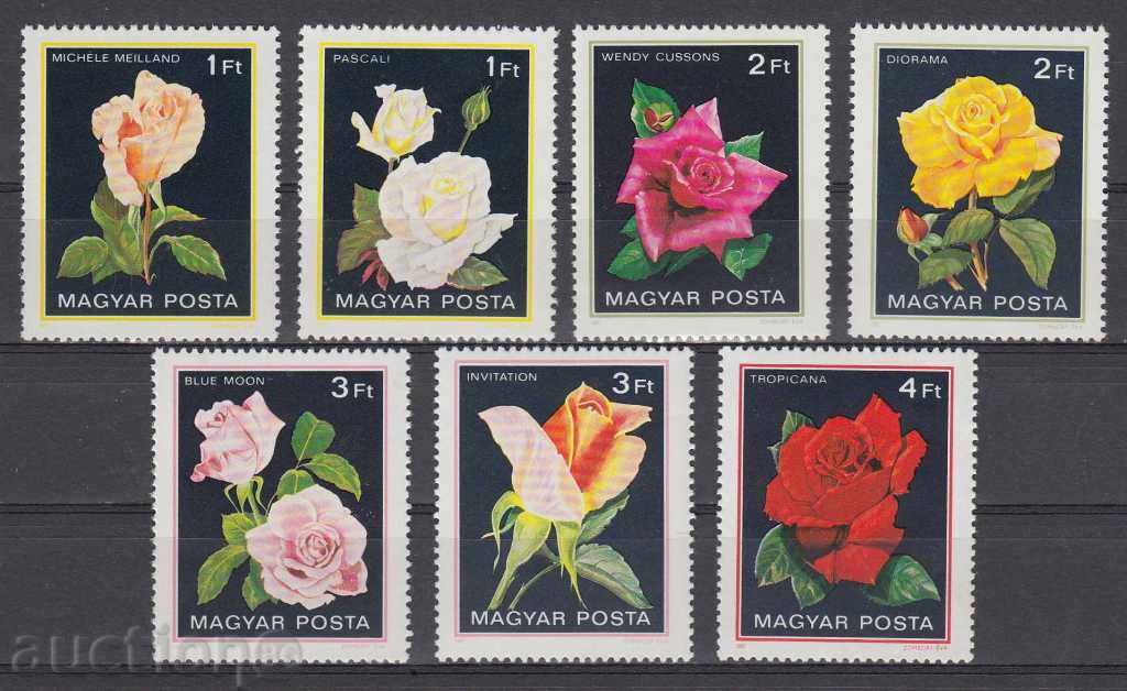 Auction 31K621 / HUNGARY - 1982 FLORA - ROSE FLOWERS Auction 31K621 / HUNGARY - 1982 FLORA - ROSE FLOWERS