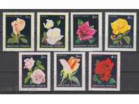 31K621 / HUNGARY - 1982 FLORA - ROSE FLOWERS