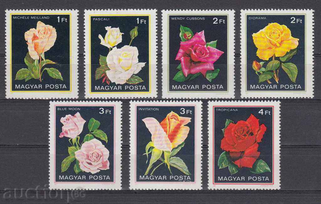 31K622 / ΟΥΓΓΑΡΙΑ - 1982 FLORA - αυξήθηκε λουλούδια