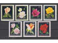 31K622 / HUNGARY - 1982 FLORA - ROSE FLOWERS
