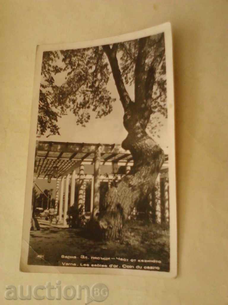 Postcard Nisipurile de Aur Casino O parte din 1960