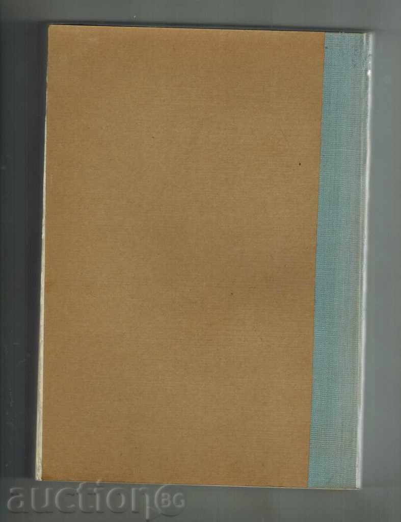 STANDARD INTERNATIONAL fructe proaspete cu preț 14.00 BGN | € 7.16 STANDARD INTERNATIONAL fructe proaspete cu preț 14.00 BGN | € 7.16