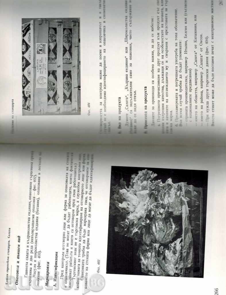 Livrarea STANDARD INTERNATIONAL fructe proaspete Livrarea STANDARD INTERNATIONAL fructe proaspete