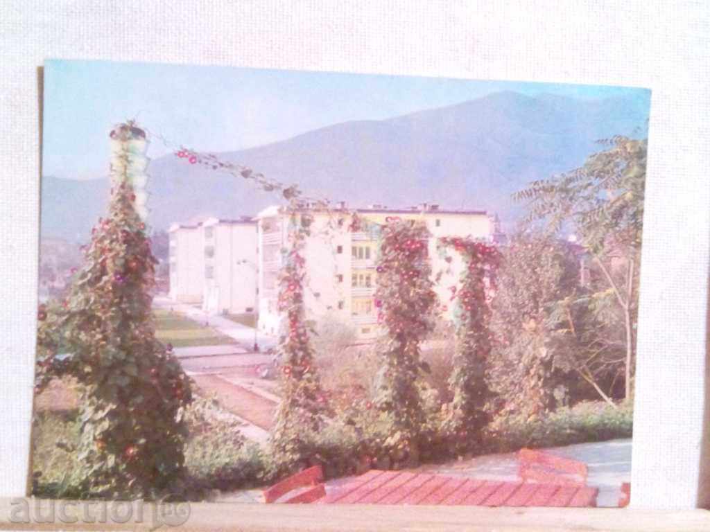 PK Berkovitsa with price 3.00 BGN | € 1.53 PK Berkovitsa with price 3.00 BGN | € 1.53