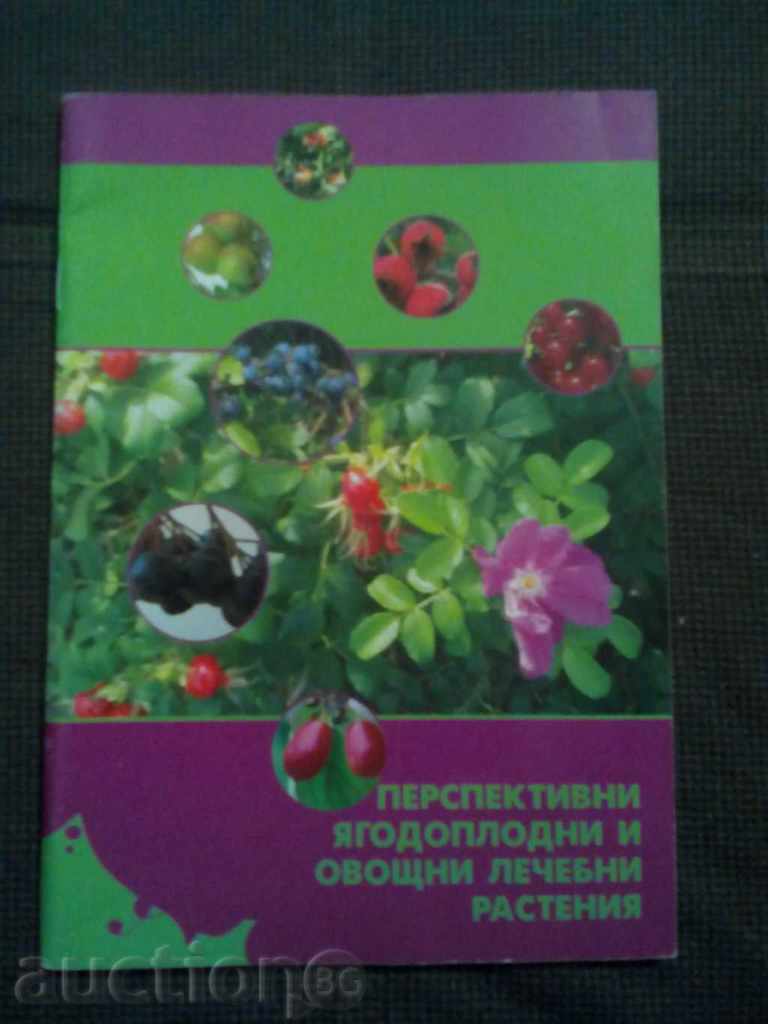 Перспективни ягодоплодни и овощни лечебни растения