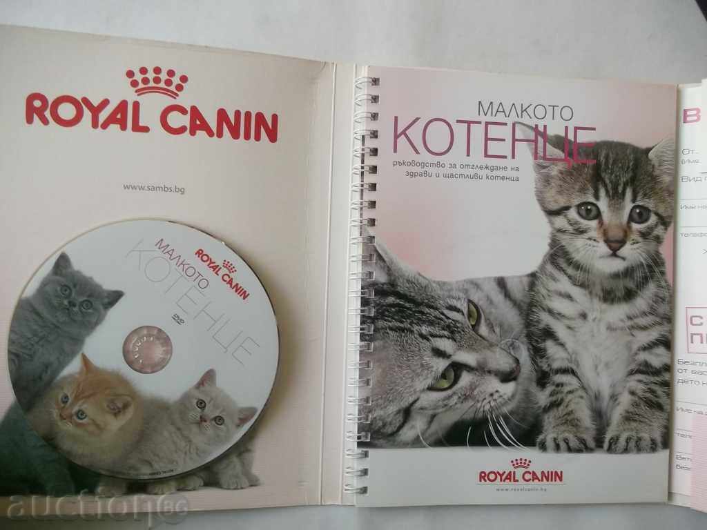 The little kitten with price 9.00 BGN | € 4.60