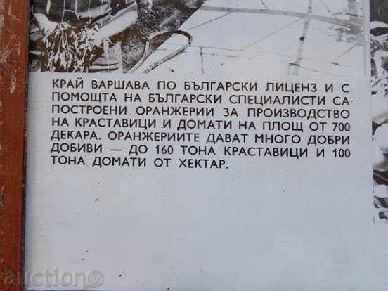 Sat photo framed, portrait, poster, propaganda with price 20.00 BGN | € 10.23