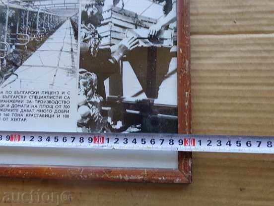 Auction  Sat photo framed, portrait, poster, propaganda