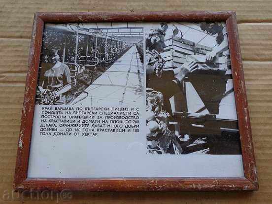 Sat photo framed, portrait, poster, propaganda - 5