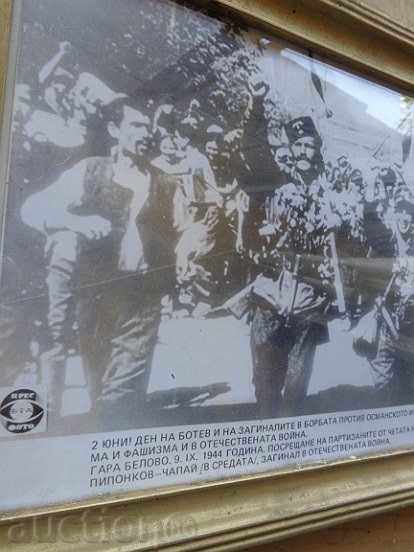 Sat photo framed, portrait, poster, propaganda - 5 Sat photo framed, portrait, poster, propaganda - 5