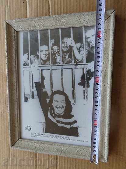 Sat photo framed, portrait, poster, propaganda with price 39.00 BGN | € 19.94 Sat photo framed, portrait, poster, propaganda with price 39.00 BGN | € 19.94