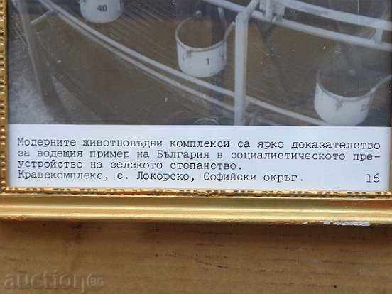 Sat photo framed, portrait, poster, propaganda with price 32.00 BGN | € 16.36