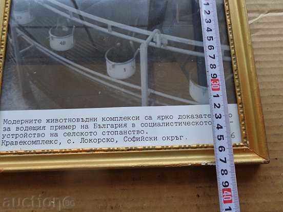 Delivery of Sat photo framed, portrait, poster, propaganda