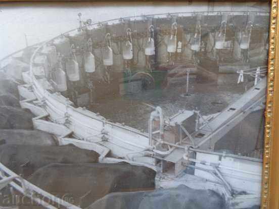 Sat photo framed, portrait, poster, propaganda - 5