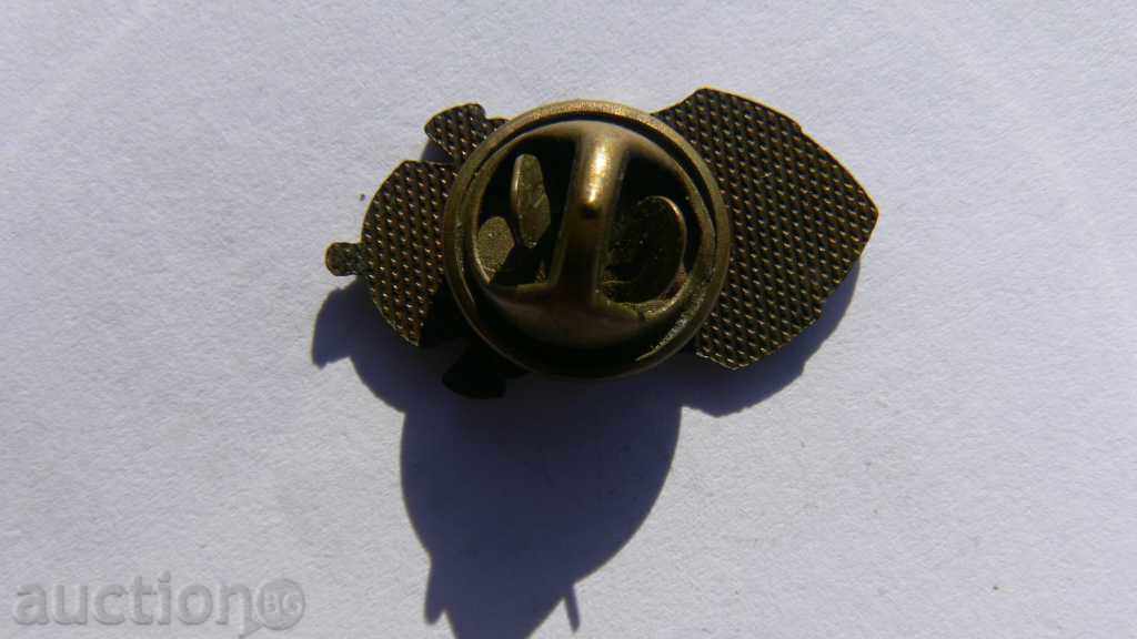 BRIGHT SIGN with price 100.00 BGN | € 51.13