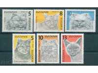 3825 Βουλγαρία 1989 - γάτες **