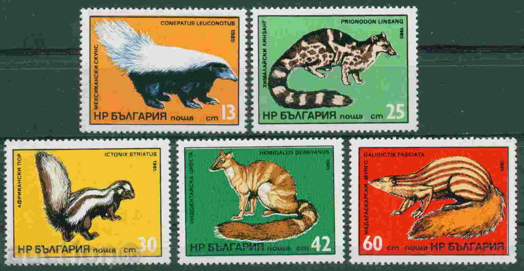 3373 Bulgaria 1985 Predators exotice **