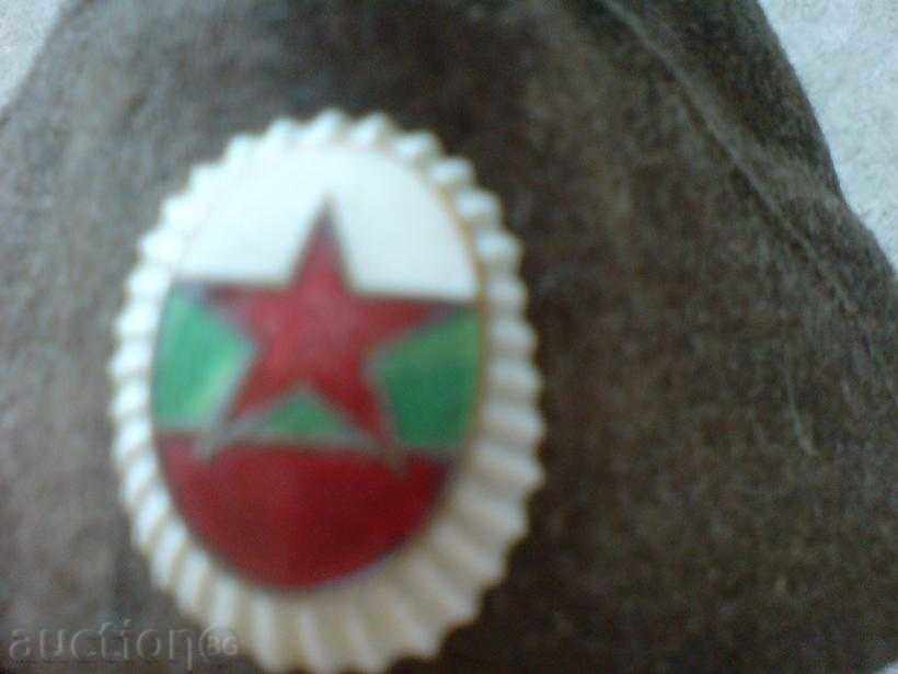 Licitație cap de iarnă - timpurie socialistă